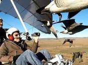 L’oie Fifine série Canal guerre Mondes