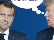 champion l’insulte