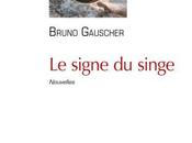 signe singe, Bruno Gauscher