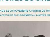 BIZARRO Fantômes cinéma- dans plusieurs galeries Paris 6me- Galerie Géraldine BANIER Novembre Janvier 2020