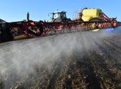 F.N.S.E.A syndicat très particulier