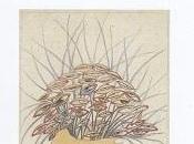 Cristaux songes, Catherine Dubuis