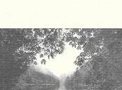 Survivante, Julie Guinand