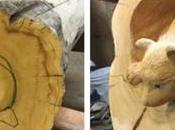 artiste bois sculpte adorables animaux forêt dans bûches qu’il récupéré