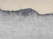 Lacunes, Florence Grivel Julien Burri