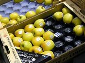 Tour France Saveurs Voyage pays Appellations d’Origine Contrôlées