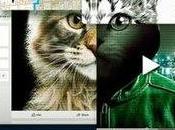 NETFLIX Don’t With Cats: Hunting Internet Killer (Don’t F**k Cats tueur trop viral) Mark Lewis