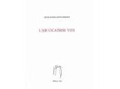 (Note lecture) L'air cicatrise vite, Jean-Louis Giovannoni, Isabelle Lévesque