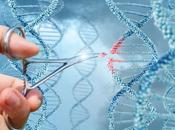 MYOPATHIE DUCHENNE ciseaux géniques pour couper mutations coupables