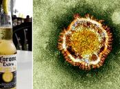 News bière Quelle tendance virus corona? soleil Bière blonde
