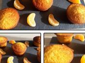 Muffins Mandarine