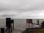 pouvez répéter question