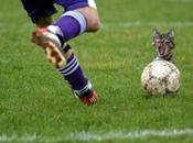 pire toujours certain [Edward Murphy