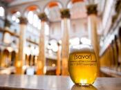 Craft beer expérience américaine bière artisanale nourriture revient Washington D.C. Bière noire