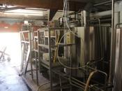 Craft beer brasserie Zion continue prospérer après récente expansion George News Bière blonde