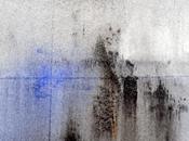 (Feuilleton) Dans forêt jours Jacques Robinet,