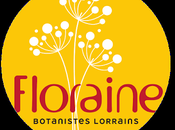 Flora lotharingia, Flore Lorraine contrées voisines