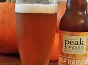 Craft beer Stratégie revenus marché mondial bière biologique 2026: Asher Bière blonde