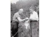 (Anthologie permanente), série Poèmes confinement, Auxeméry, Benjamin Péret