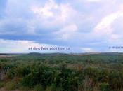 premier avril s'arrose