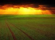 guerre informationnelle contre Yara