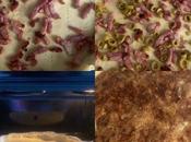 m’améliore... J’apprends toujours...