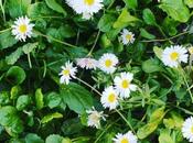 Pensées pour celles ceux souffrent jour Pâques maladie solitude font pont