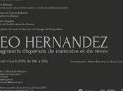 Création Site Internet Jump Force Agence Amiens