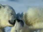 Documentaires éducatifs Netlix gratuits