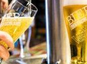 Craft beer Focus concept cave 50%, Bière brune