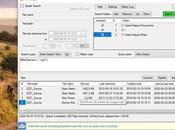 FileBadger pour tout rechercher supports