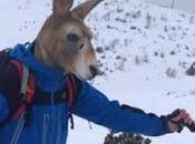 l’Australie d’essuyer plâtres