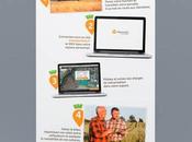 Optimisation Site Internet Piotr Agence Tours