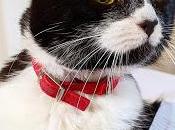 1620. n'ai fait pendant confinement