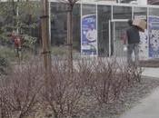 ARCHI URBAIN (14/33) MangerNielsenArchitects (MNA) Dojo