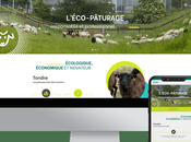 Création Site Internet Photographe Agence Rouen