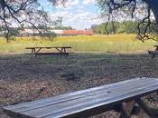 Craft beer Transformation coronavirus brasserie Jester King: parc pour bière Mousse