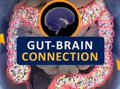 INTESTIN-CERVEAU Désordre intestinal hémorragie cérébrale