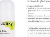 Optimisation Site Internet Traduction Anglais Agence publicité internet Annecy