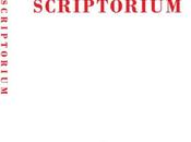 Mise Place Stratégie Site Internet Majuscule Agence Limoges