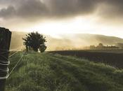 guerre informationnelle d’activistes contre cellule DEMETER