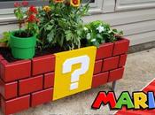 Juan Mathilde Learnybox Nouveauté WordPress