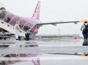 Peach: Domestic Routes Reopening