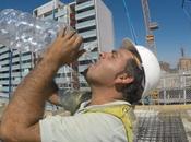 STRESS THERMIQUE coup soleil altère aussi cerveau