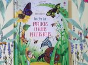 Fenêtre Papillons autres petites bêtes Editions Usborne