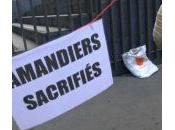 Amandiers, c’est gagné