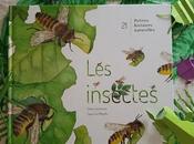 Petites histoires naturelles insectes Claire Lecoeuvre Capucine Mazille