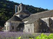Vacances dans Vaucluse Gordes Abbaye Notre-Dame Sénanque