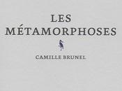 métamorphoses, Camille Brunel (éd. Alma)