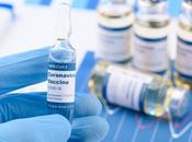 COVID-19 vaccin nasal prévient l'infection chez l'animal